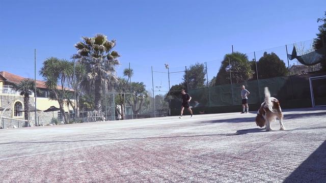 Treinei 1 dia como a Patricia Mamona *CAMPEÃ DA EUROPA * смотреть онлайн