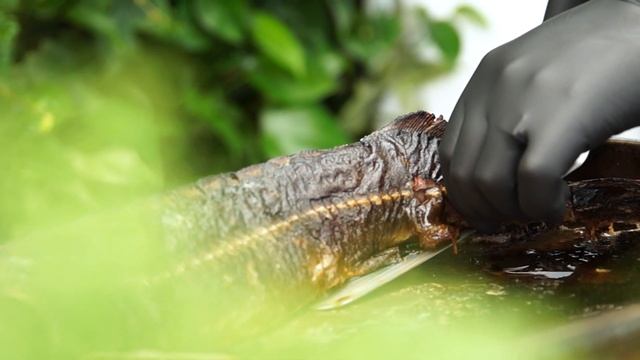 Точность и изящество движений | Terrace.Sea View смотреть онлайн