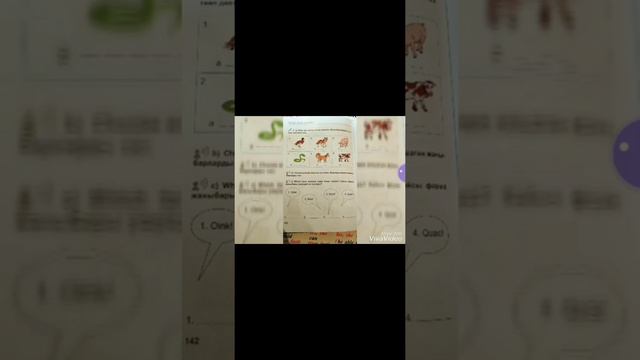 122-орто мектеп Назирова Рохатхон 3-класс сабагы....англис тили смотреть онлайн