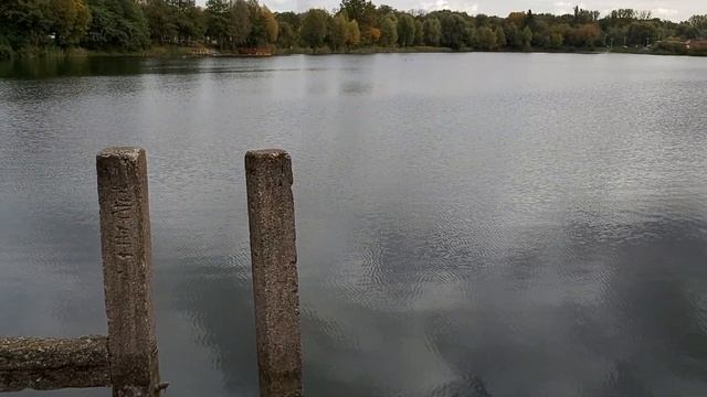 Озеро Шёнфлиз в Калининграде смотреть онлайн