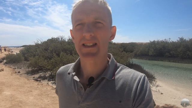 Ритмы Визуализации