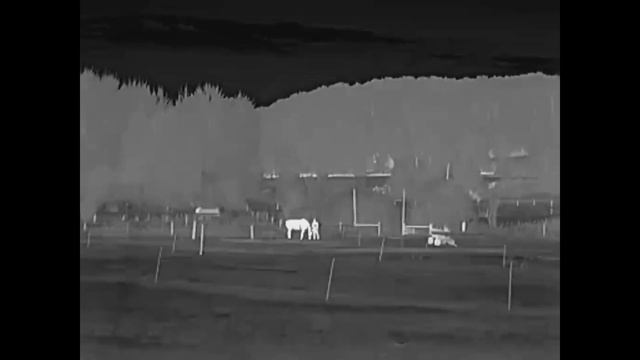 InfiRay Xeye CL35M Wärmebildkamera für die Jagd, E3 MAX V2 Nachfolger смотреть онлайн