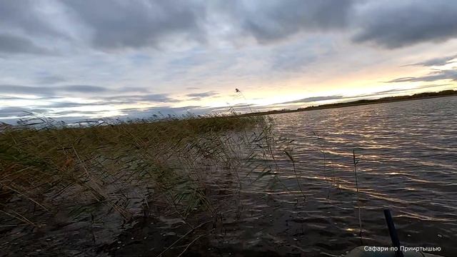 Утиная охота. В ожидании белолобого гуся. смотреть онлайн