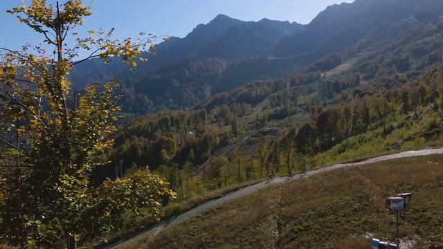 Велосипеды Stinger 2021 смотреть онлайн