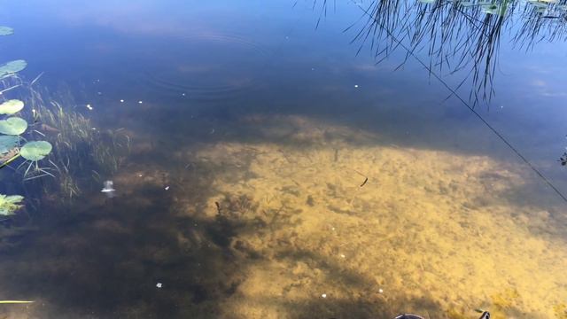 Утро на реке Воронеж смотреть онлайн