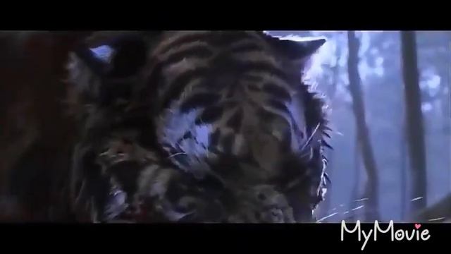 • Клип про тигров • Великий тигр , 2 брата • смотреть онлайн