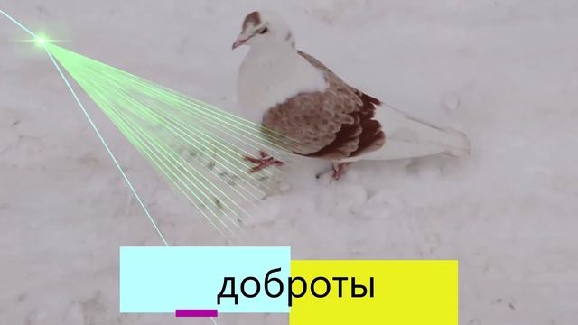 К нам пришел 2020 год! смотреть онлайн