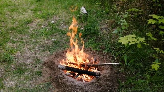 МЯСО В ЗЕМЛЕ! Готовлю в земляной печи. смотреть онлайн