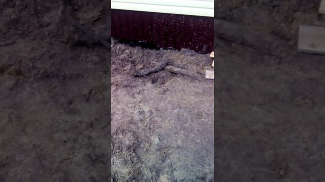 Монтаж Септика Биотанк 4 пр. Победит 1, Сургут смотреть онлайн