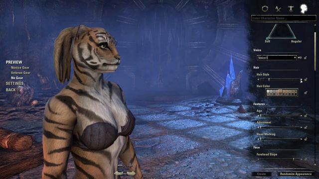 The Elder Scrolls Online: Character Creation - Khajiit Female смотреть онлайн
