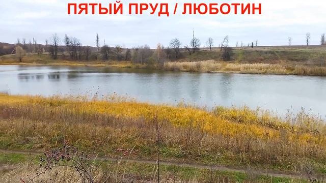 ПОСЁЛОК КАРАВАН-ГОРОД ЛЮБОТИН / ХАРЬКОВСКАЯ ОБЛАСТЬ смотреть онлайн