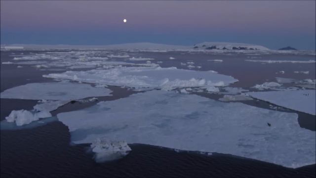 Antarctica For Kids: Cool Facts About Antarctica For Children - FreeSchool