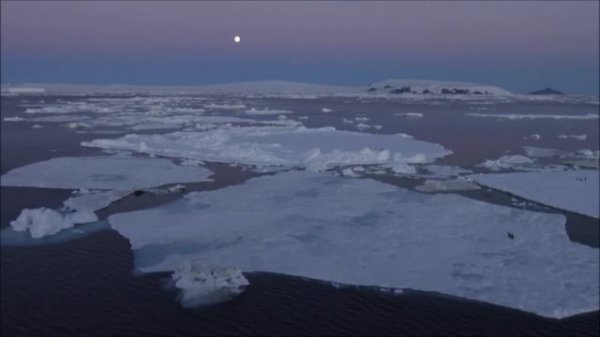 Antarctica for Kids: Cool Facts About Antarctica for Children - FreeSchool