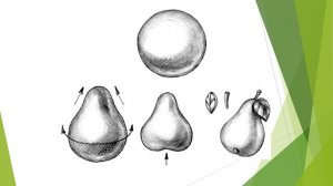 Урок для 1 класса ИЗО лепка овощей и фруктов из пластилина