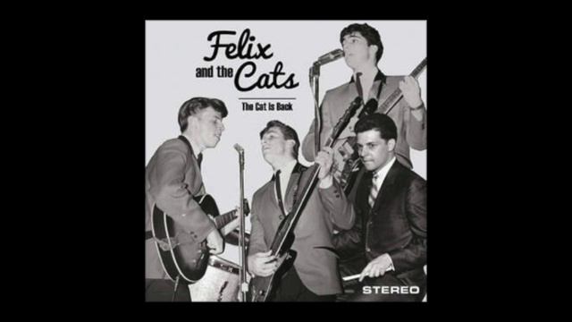 Felix and the Cats - Don't You Worry About Me смотреть онлайн