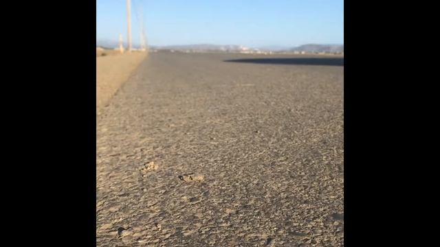 300zx Top Speed Pro 1 Exhaust смотреть онлайн