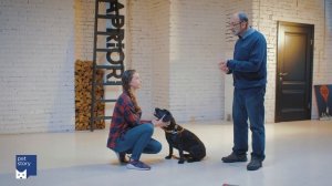 Как научить собаку команде "Дай лапу"?