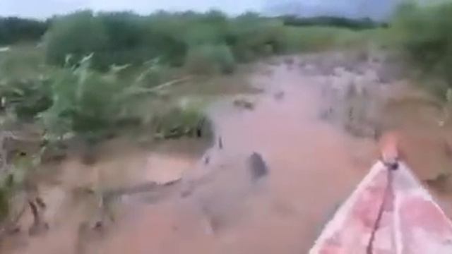 Река просто кишит крокодилами смотреть онлайн