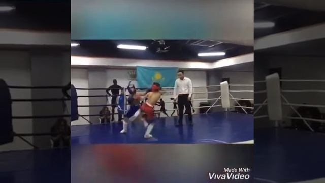 BERKUT TAEKWONDO TEAM смотреть онлайн