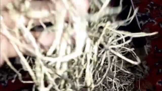 Готовлю подарки маме на 8 МАРТА! смотреть онлайн