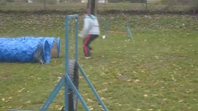 Muška - Agility pre všetkých V. смотреть онлайн