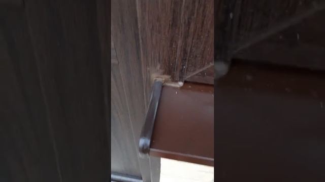 Как Окна Вента устанавливают эти самые окна смотреть онлайн