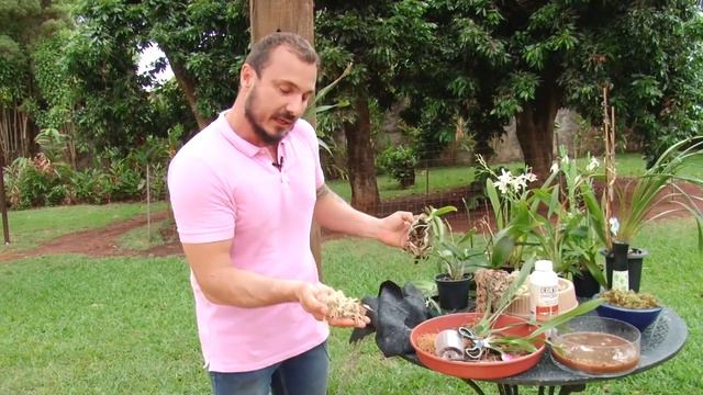 Como plantar ORQUÍDEA em árvore | Parte 2 смотреть онлайн