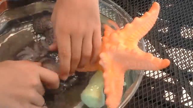 🎊🎊🎊 США..Водянные растущие игрушки.🎊🎊🎊 смотреть онлайн