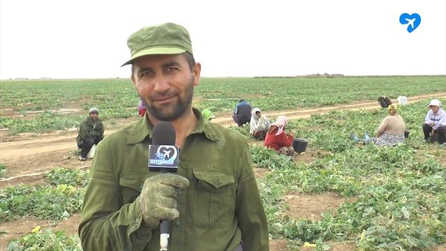 Ахтубинские фермеры (16.09.2020) смотреть онлайн