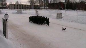 Прикольная строевая песня. Еду за солярой (GVOZDI)