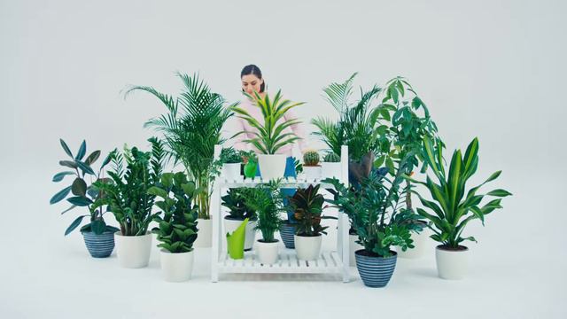 Гулдер смотреть онлайн