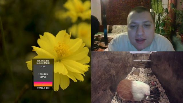 Пятничный вечерний стрим смотреть онлайн