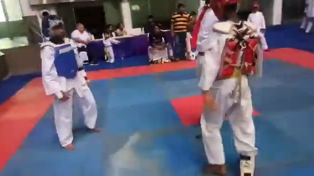 Taekwondo Tournament смотреть онлайн
