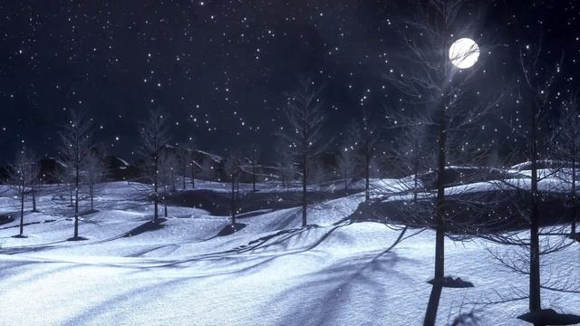 ❄️Зимняя атмосфера снег ночью зима в лесу ❄️ смотреть онлайн