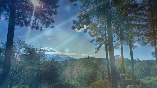 The Mount Shasta Transmission: Accessing a 5D Portal for Global Ascension. смотреть онлайн