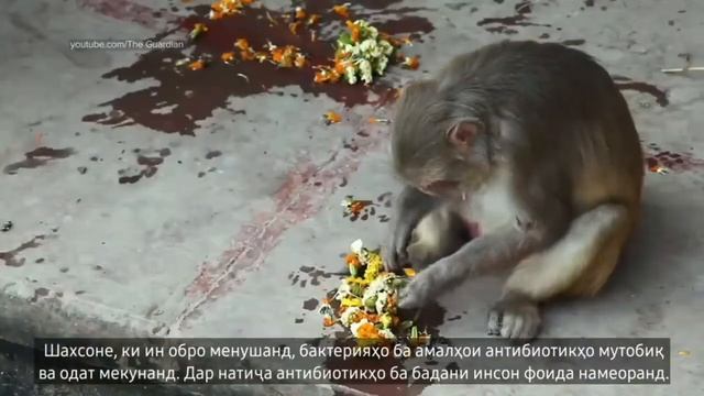 Берегите воду - источник жизни! смотреть онлайн
