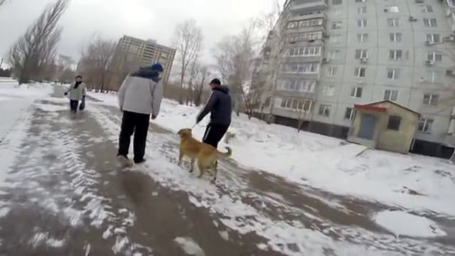 РАСПРОСТРАНЁННЫЕ ОШИБКИ смотреть онлайн