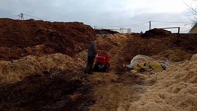 Минидумпер МОТОМУЛ обзор