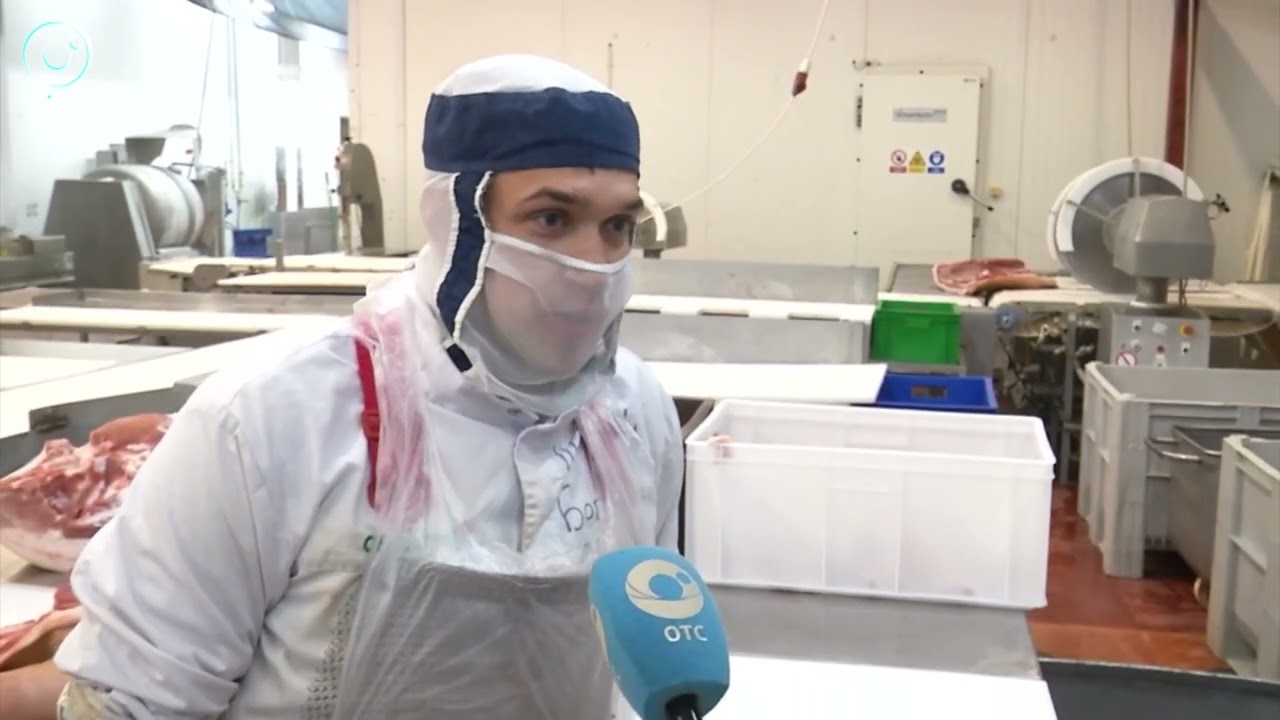 700 жителей Новосибирской области вышли на работу после Всероссийской ярмарки трудоустройства смотреть онлайн