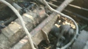 Регулировка фрикционов ТДТ 55