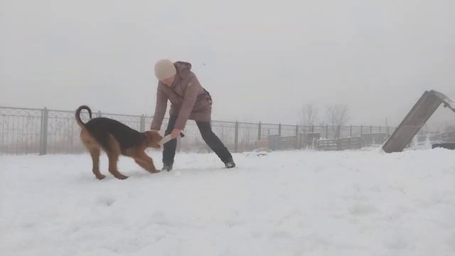 Защита без фигуранта. Дина. Презентация игрушки 1 смотреть онлайн