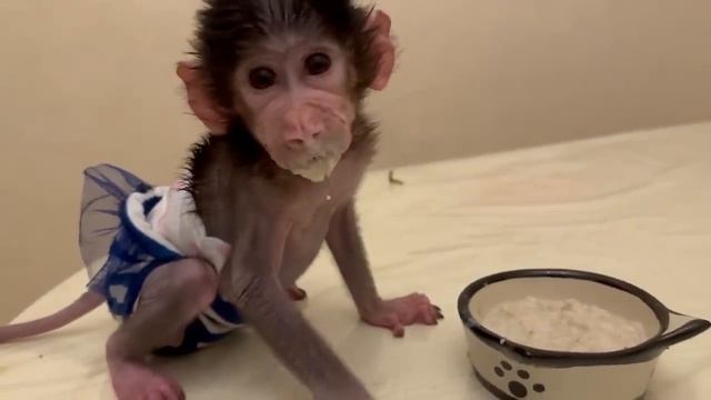Вы посмотрите КАКИЕ ИДЕАЛЬНЫЕ становятся Люся и Степашка когда нет Влада! смотреть онлайн