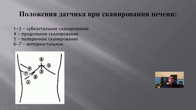 Методика УЗИ часть 2 смотреть онлайн