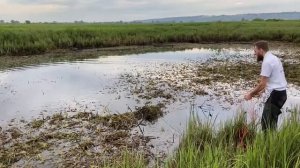 Донная коса Тёща 2.0