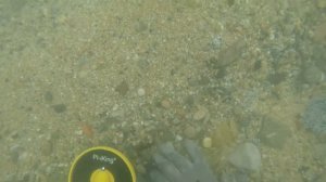 ???  Золото на дне моря  ? ! Подводный поиск золота на пляже . Pinpointer  minelab
