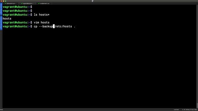 Implement a Safe Copy in Linux Creating a Backup of Files that are Overwritten смотреть онлайн