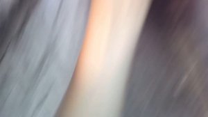 Какое масло нужно заливать в КПП и раздатку нива, ваз 2121 лада! GL-4 или GL-5?