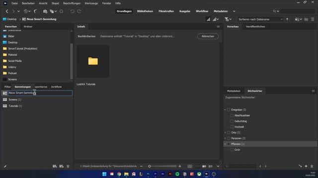 Adobe Bridge 2022 (Grundkurs für Einsteiger) Einfach deine Dateien verwalten смотреть онлайн