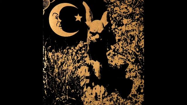 Swamp Horse - Oracle (Extract) - DumpsterScore 2010 смотреть онлайн