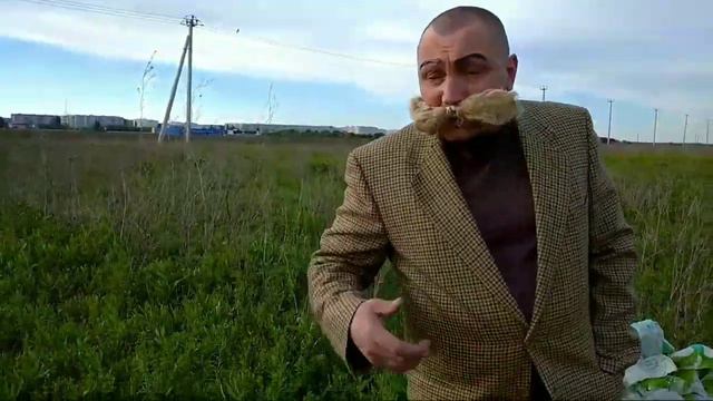 Зелепупы, лаборатория работает... смотреть онлайн